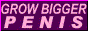 880PENI.GIF (1747 bytes)
